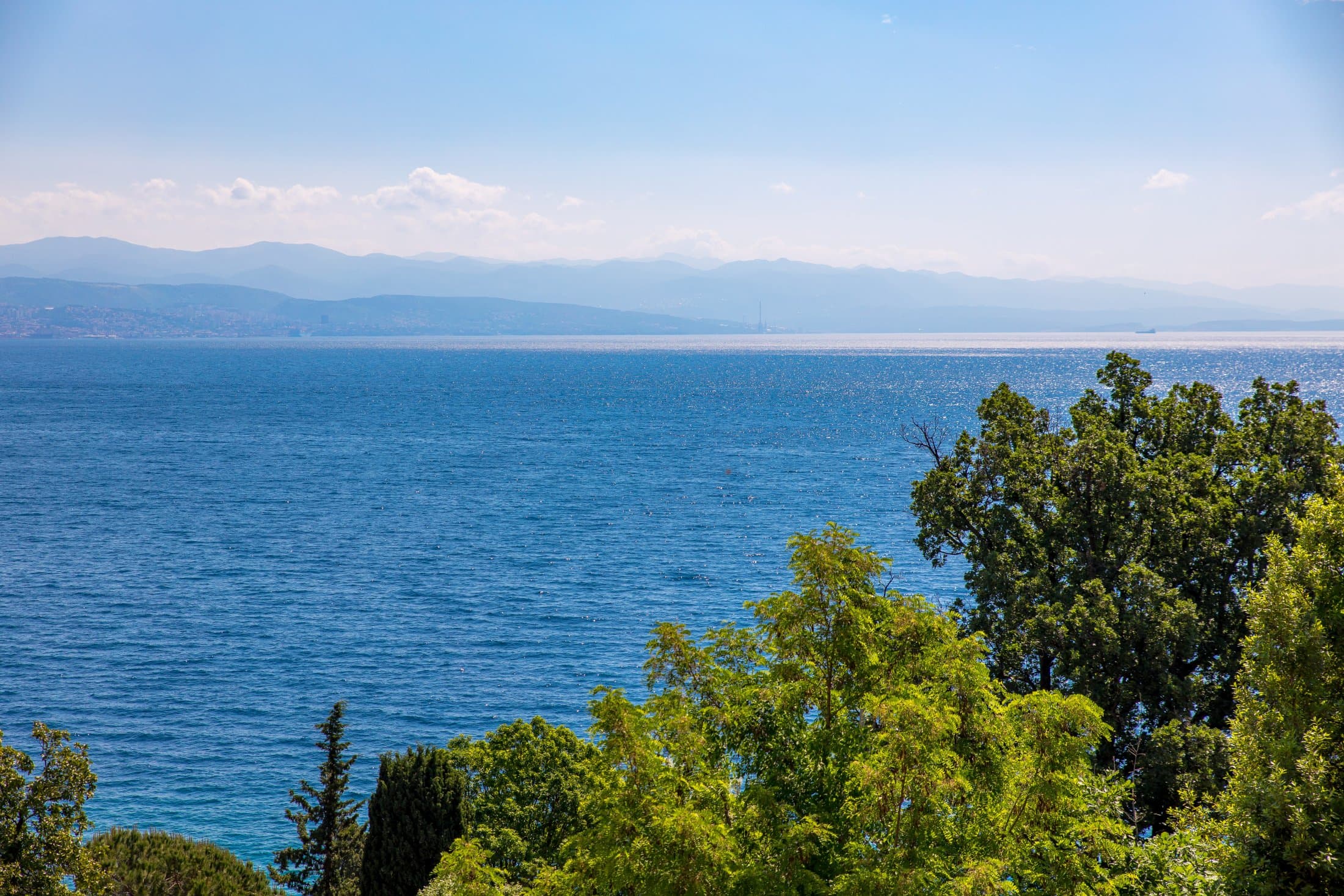 View